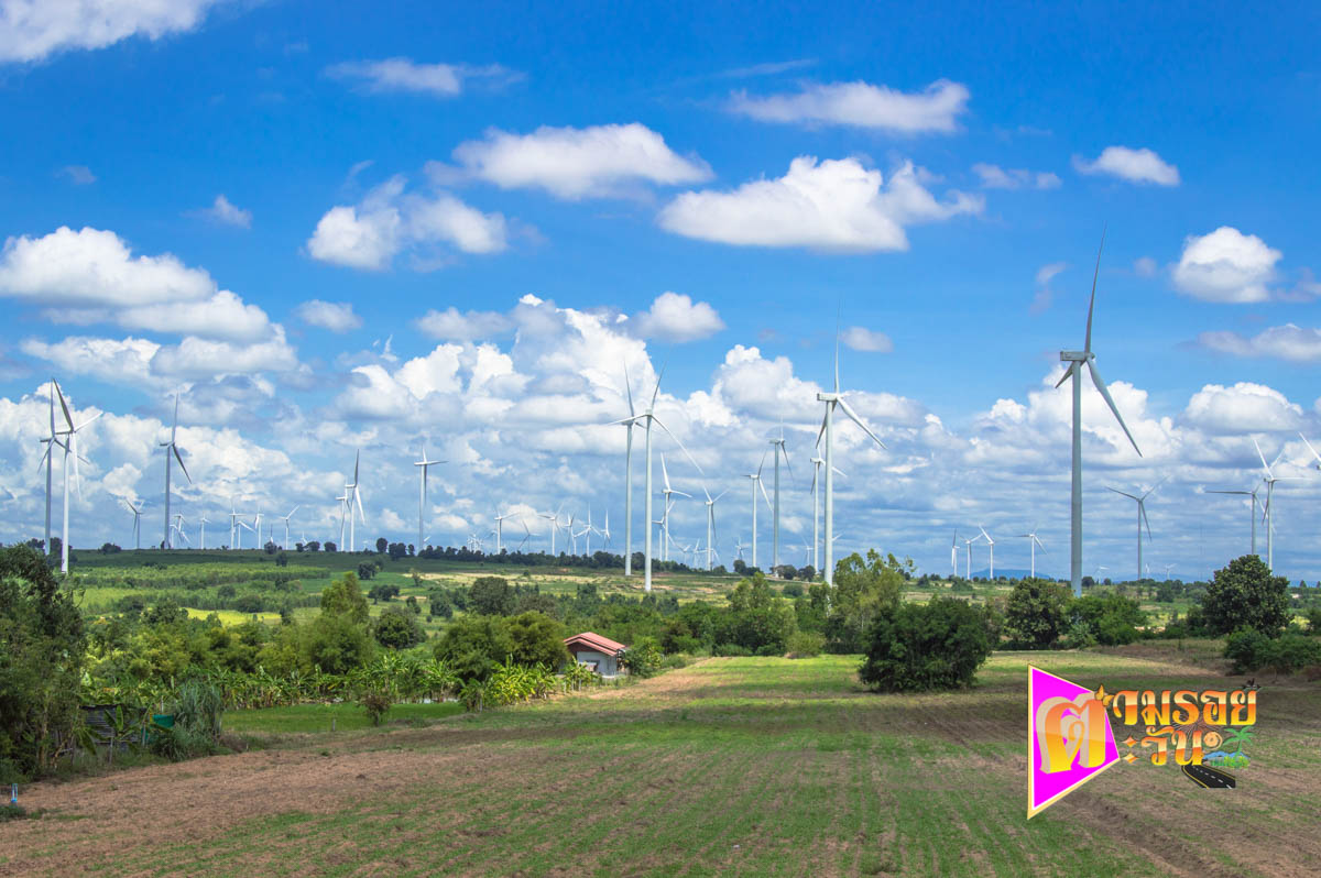 ตามรอยตะวัน